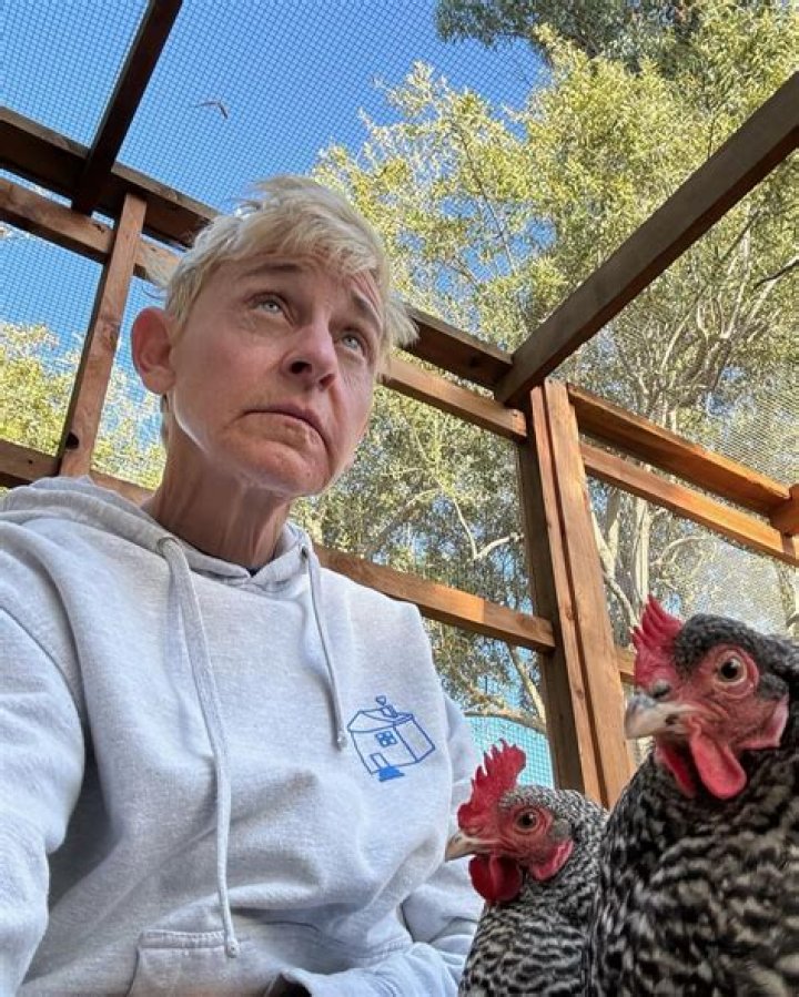 Angie Harmon: A Look at Her Life and Career, Today