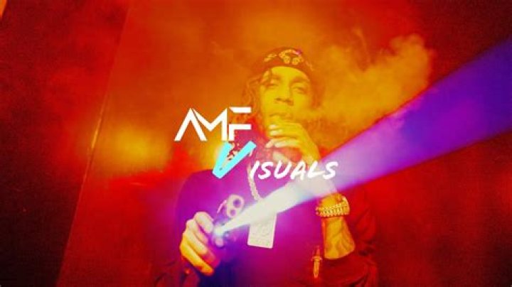 Bloodhound Lil Jeff Killed: Understanding This Gentle Giant's Nature and Care