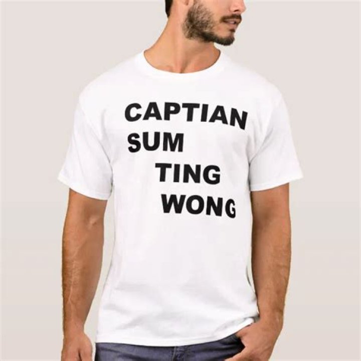 Captain Sum Ting Wong: Unpacking the Enduring Humorous Tale