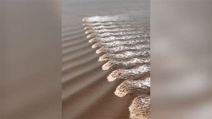 Dana Gadot: Unpacking the Legacy of an Industrial Innovator and a Natural Phenomenon