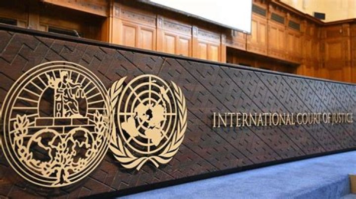 diana konfederat net worth: Exploring the Financial Picture of a YouTube Sensation