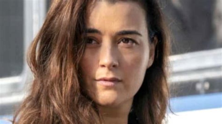 Discovering Cote de Pablo: A Look at the Beloved Actress