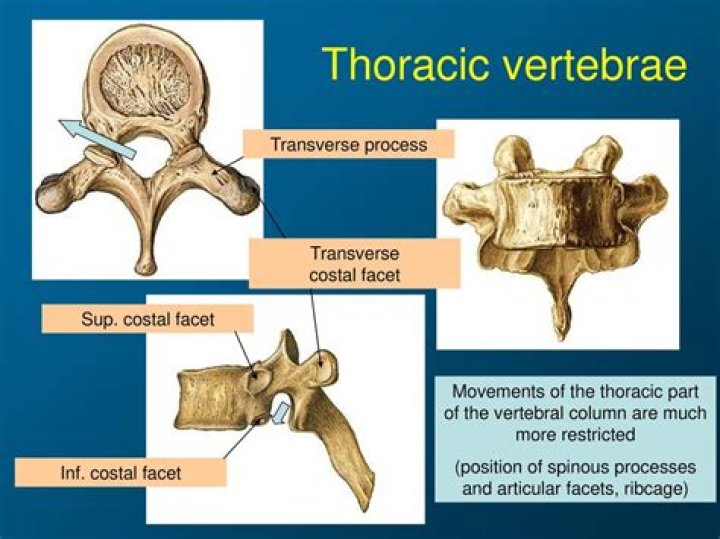 Exploring the Many Facets of **Misty Lonan**