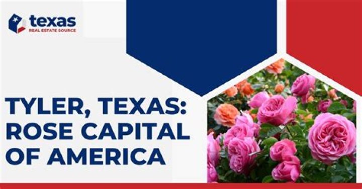 Exploring Tyler, Texas: What Someone Like Tyler McNair Finds in the Rose Capital