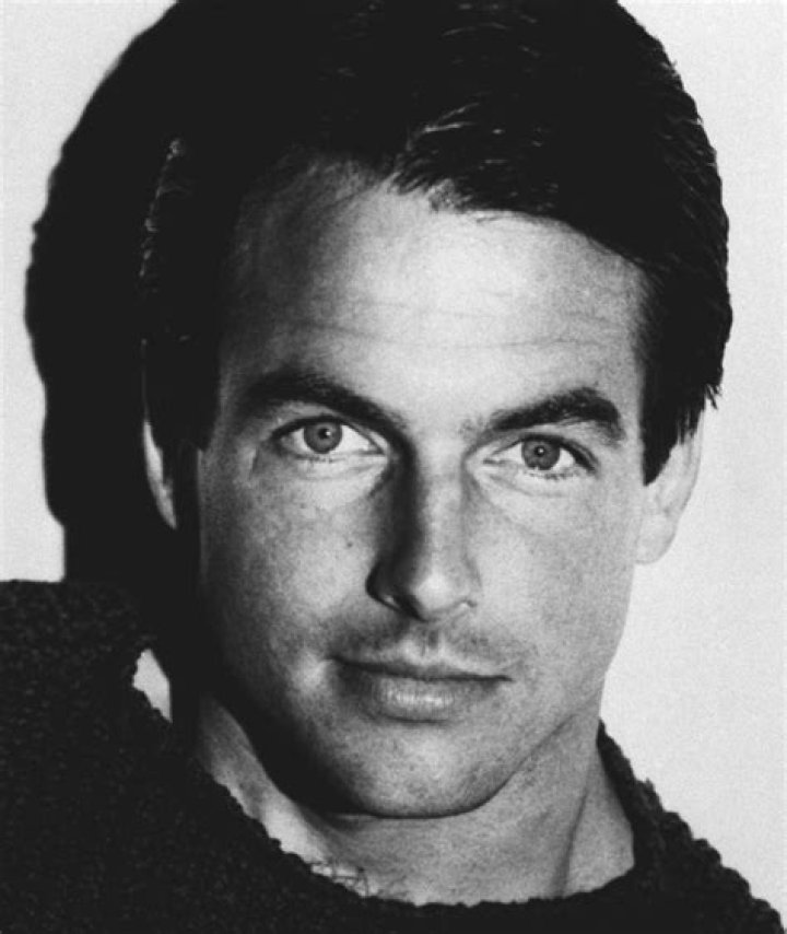 How Old Is Mark Harmon The Actor? Uncovering the Enduring Career of a Television Favorite