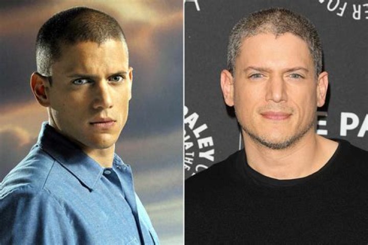 Is Wentworth Miller Married? Exploring the Actor's Relationship Status