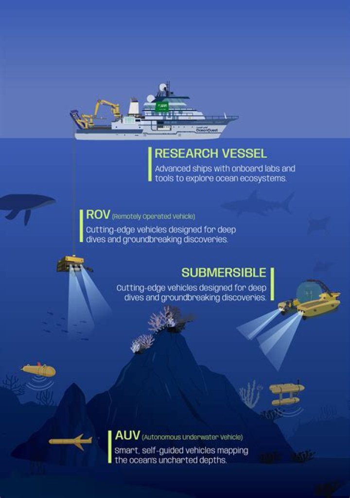 Kristine Wunschel: Exploring the Deep Meaning Behind a Classic Name