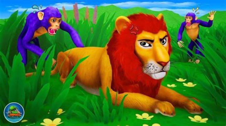 Lion Yelling at a Monkey: What Really Happens in the Wild?