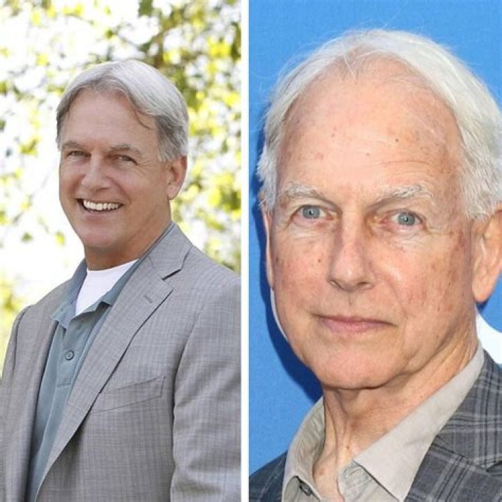 Mark Harmon Heute: What the Beloved Star is Doing Now