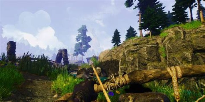 Nova Patra: Exploring the Path of a Former Online Personality