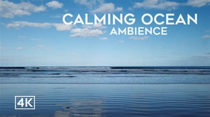 quiero a agua video: Discover Calming Scenes and Essential Insights