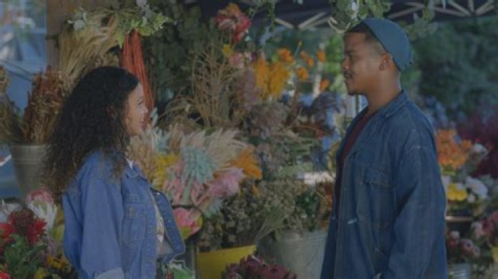 Rick Moranis: The Enduring Charm of a Top Drawer Talent