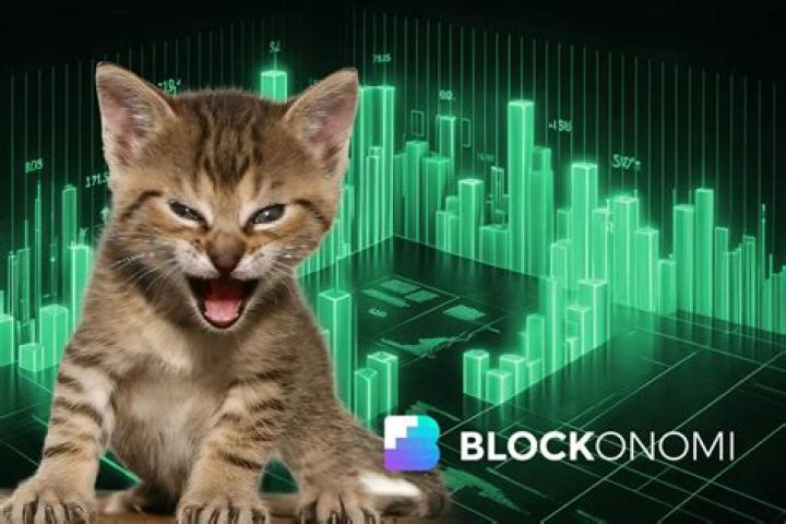 Roaring Kitty Net Worth: Following Keith Gill's GameStop Journey and Fortunes in 2024