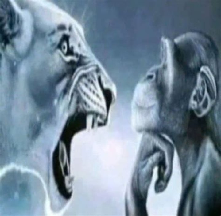 The **Angry Lion Monkey Meme**: Why It Roars So Loud in Our Minds