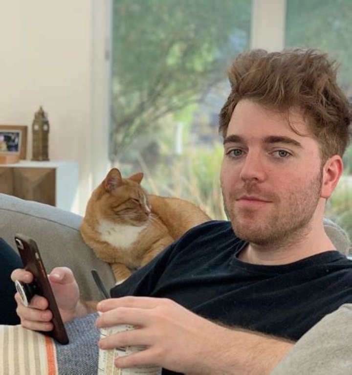 The Full Story: What Did Shane Dawson Do to the Cat?