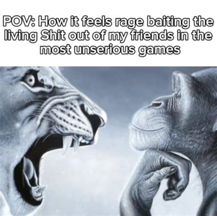 The Roaring Truth: Unpacking the Viral **Lion Yelling at Monkey Meme**