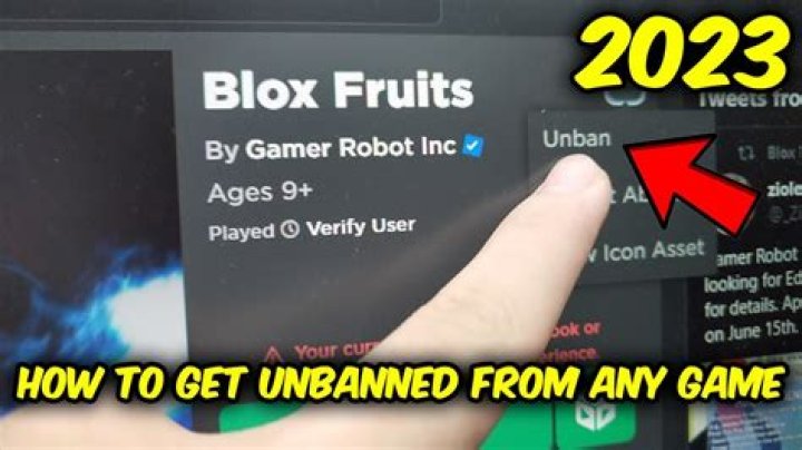Unbanned G+: Your Way to Play Games Anywhere, Anytime