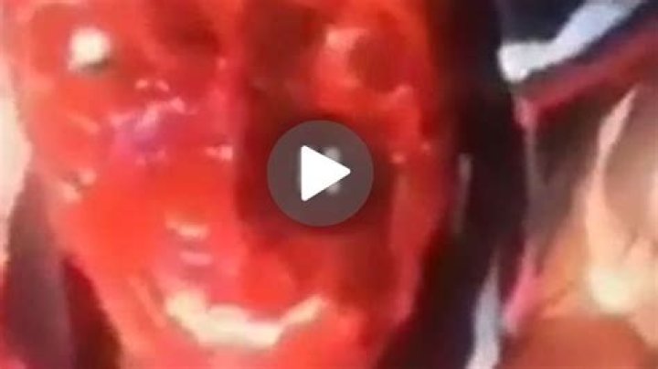 Uncovering the 'Quiero Água Video Original': Its Story and Cultural Footprint