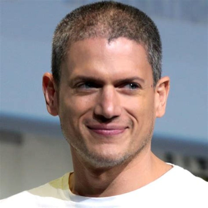 Wentworth Miller Net Worth 2024: A Look at His Financial Journey